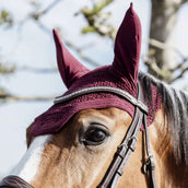 Kentucky Ohrnetz Wellington Bordeaux Kentucky Ohrnetz Wellington Bordeaux