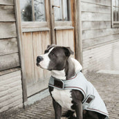 Kentucky Hundejacke Wasserdicht 160g Dusty Blue Kentucky Hundejacke Wasserdicht 160g Dusty Blue