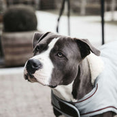 Kentucky Hundejacke Wasserdicht 160g Dusty Blue Kentucky Hundejacke Wasserdicht 160g Dusty Blue