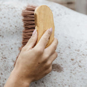 Grooming Deluxe by Kentucky Bürste Middle Braun Grooming Deluxe by Kentucky Bürste Middle Braun