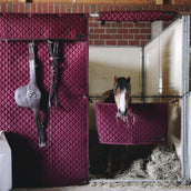 Kentucky Kopfschutz Bordeaux Kentucky Kopfschutz Bordeaux