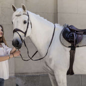 Kentucky Horsewear Schabracke Pied-de-Poule Springen Braun Kentucky Horsewear Schabracke Pied-de-Poule Springen Braun