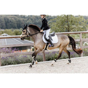 Kentucky Gamaschen Bamboo Elastic Vegan Sheepskin Schwarz Kentucky Gamaschen Bamboo Elastic Vegan Sheepskin Schwarz