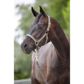 Covalliero Halfter Classy Stein Covalliero Halfter Classy Stein