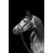 Covalliero Fliegenhaube Empara Schwarz Covalliero Fliegenhaube Empara Schwarz