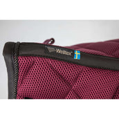 Back on Track Schabracke AirFlow Dressur Weinrot Back on Track Schabracke AirFlow Dressur Weinrot