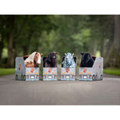 LeMieux Toy Pony Bunt LeMieux Toy Pony Bunt