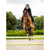 LeMieux Fliegenhaube Crystal Braun LeMieux Fliegenhaube Crystal Braun