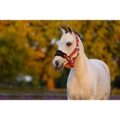 LeMieux Halfterset Mini Vogue Cranberry LeMieux Halfterset Mini Vogue Cranberry