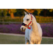 LeMieux Halfterset Mini Vogue Cranberry LeMieux Halfterset Mini Vogue Cranberry