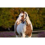 LeMieux Halfterset Mini Vogue Juniper LeMieux Halfterset Mini Vogue Juniper