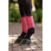 LeMieux Fesselkopfgamaschen Arika Mesh Cranberry LeMieux Fesselkopfgamaschen Arika Mesh Cranberry