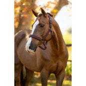 LeMieux Halfter Essence Damaszenerpflaume LeMieux Halfter Essence Damaszenerpflaume