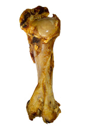 Voskes Rinderknochen Voskes Rinderknochen