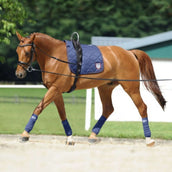 Passier Ausbindezügel Horst Becker Schwarz Passier Ausbindezügel Horst Becker Schwarz