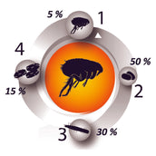 Pestigon Flohmittel Spot-On Katze Pestigon Flohmittel Spot-On Katze