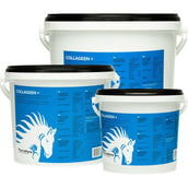 PharmaHorse Kollagen Pferd PharmaHorse Kollagen Pferd