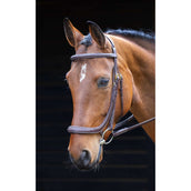 Salisbury by Shires Trense Berkeley Australian Nut Salisbury by Shires Trense Berkeley Australian Nut