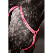 Shires Fliegenhaube Reflektierend Fluor Roze Shires Fliegenhaube Reflektierend Fluor Roze
