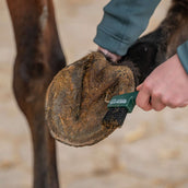 Agradi Horse Hufkratzer Fir Green Agradi Horse Hufkratzer Fir Green