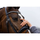 Trust Zaum Rotterdam Schwarz/Silber Trust Zaum Rotterdam Schwarz/Silber