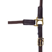 Waldhausen Halfter Nevada braun/gold Waldhausen Halfter Nevada braun/gold