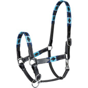 Waldhausen Halfter Polo Leder Schwarz/Blau Waldhausen Halfter Polo Leder Schwarz/Blau