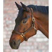 Waldhausen Halfter X-Line Anatomic Leder Braun Waldhausen Halfter X-Line Anatomic Leder Braun