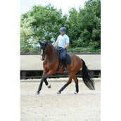 WeatherBeeta Fleecebandagen Prime 4 Stück Schwarz WeatherBeeta Fleecebandagen Prime 4 Stück Schwarz