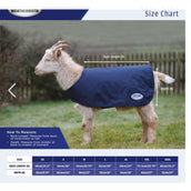 Weatherbeeta Decke für Ziegen Deluxe mit Neck Navy