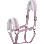 Waldhausen Halfter First Rot Waldhausen Halfter First Rot