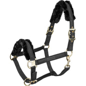 Waldhausen Halfter Exclusive Schwarz/Schwarz Waldhausen Halfter Exclusive Schwarz/Schwarz