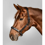 Waldhausen Halfter Crystal Leder Schwarz/Grau Waldhausen Halfter Crystal Leder Schwarz/Grau