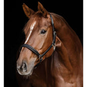 Waldhausen Halfter S-Line Classy Leder Schwarz Waldhausen Halfter S-Line Classy Leder Schwarz