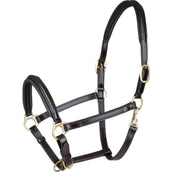 Waldhausen Halfter S-Line Classy Leder Braun Waldhausen Halfter S-Line Classy Leder Braun