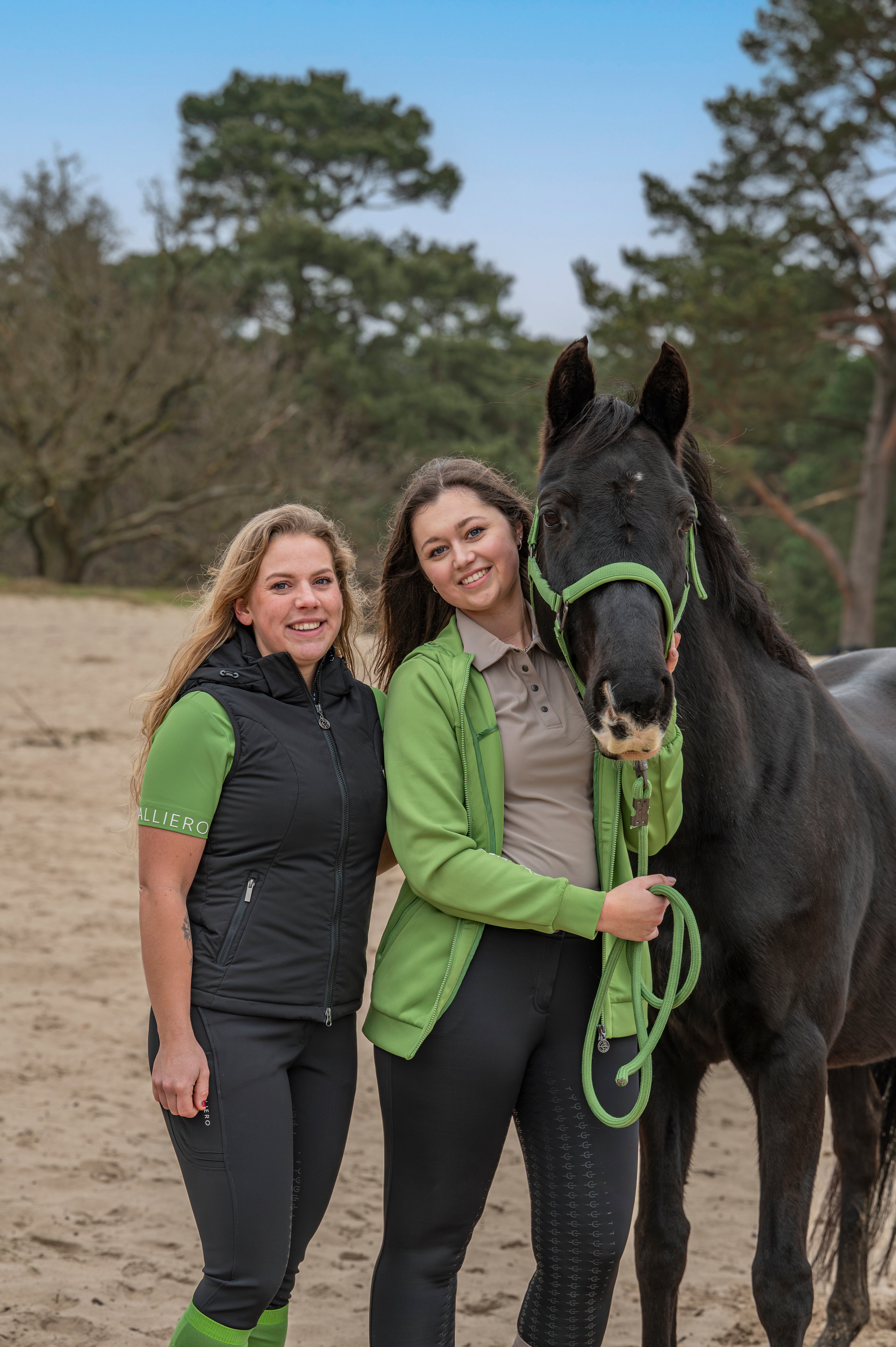 Kollektionen Kollektionen