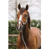 ANKY Halfterset Stones Steel Grey ANKY Halfterset Stones Steel Grey