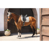 ANKY Dressage Boots Proficient ATB261001 Island Fossil ANKY Dressage Boots Proficient ATB261001 Island Fossil