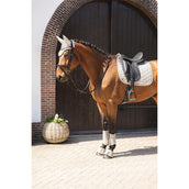 ANKY Hufglocken Bell ATB261003 Island Fossil ANKY Hufglocken Bell ATB261003 Island Fossil