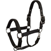 BR Halfter AW25 Eevolv Josh Meteorite BR Halfter AW25 Eevolv Josh Meteorite