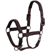 BR Halfter AW25 Eevolv Josh Raisin BR Halfter AW25 Eevolv Josh Raisin