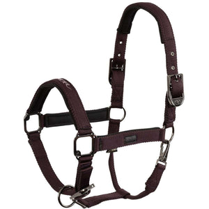 BR Halfter AW25 Eevolv Josh Raisin BR Halfter AW25 Eevolv Josh Raisin