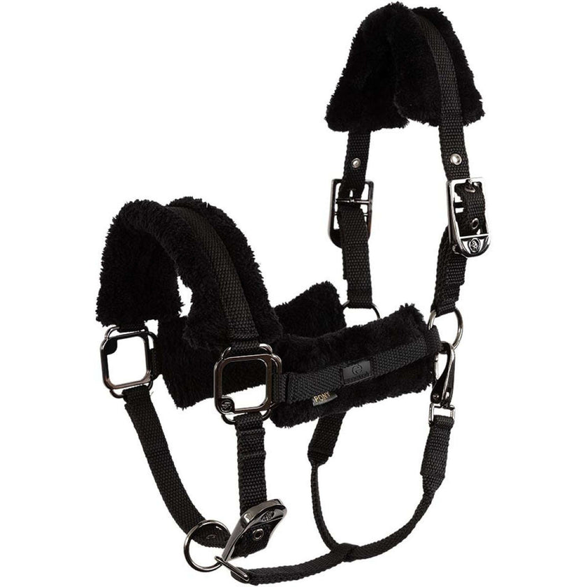 BR Halfter AW25 Eevolv Jonne Meteorite BR Halfter AW25 Eevolv Jonne Meteorite