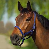 Riding World Halfter Navy Riding World Halfter Navy
