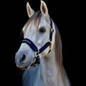 Back on Track Halfter Werano Blau Back on Track Halfter Werano Blau