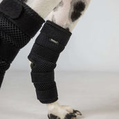 Back on Track Stoßdämpferschutz Dixie Hund Schwarz Back on Track Stoßdämpferschutz Dixie Hund Schwarz