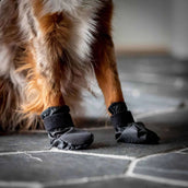 Back on Track Hundeschuhe Koda Schwarz Back on Track Hundeschuhe Koda Schwarz