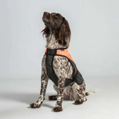 Back on Track Hundejacke TRAKK Reflektierend Orange Back on Track Hundejacke TRAKK Reflektierend Orange