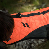 Back on Track Hundejacke TRAKK Reflektierend Orange Back on Track Hundejacke TRAKK Reflektierend Orange