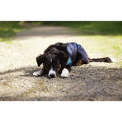 Back on Track Cooling Rug Blau Back on Track Cooling Rug Blau